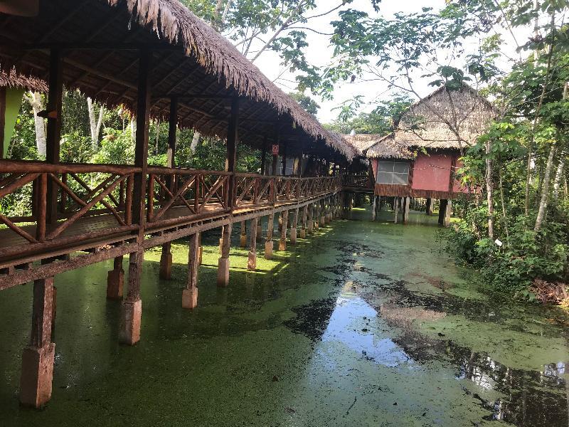 Heliconia Amazon River Lodge Francisco de Orellana Exterior photo